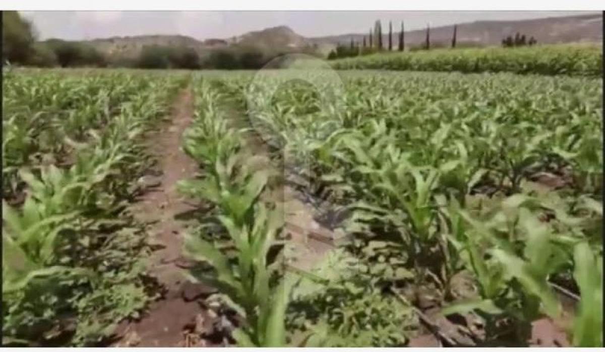 Studio in Cadereyta de Montes, Mexico No. 150867