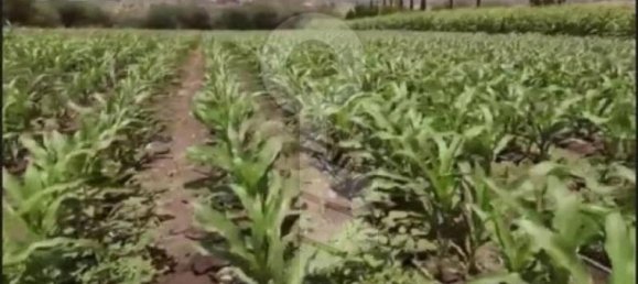 Studio in Cadereyta de Montes, Mexico No. 150867 2