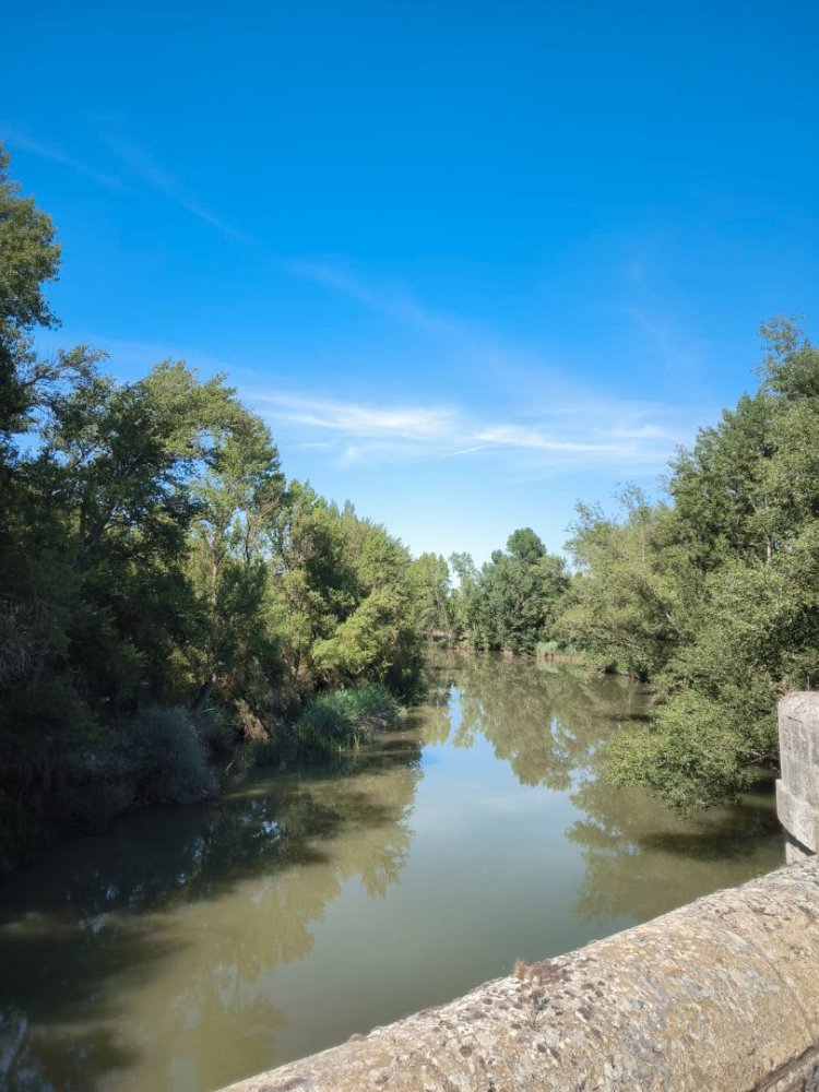 Lagerhaus in Burgos, Spain 300m², Nr. 162230