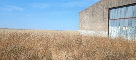 Lagerhaus in Burgos, Spain 300m², Nr. 162230 7