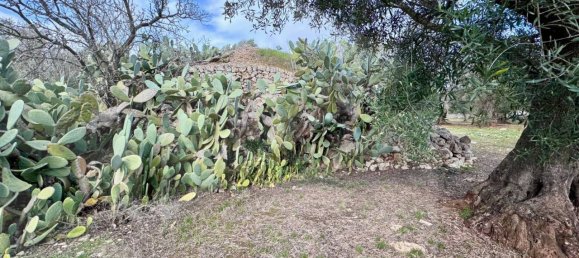 2-salle Maison à Ostuni, Italy No. 24617 4