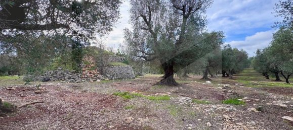 2-salle Maison à Ostuni, Italy No. 24617 7