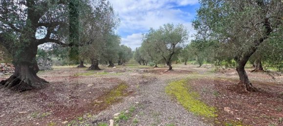 2-salle Maison à Ostuni, Italy No. 24617 5
