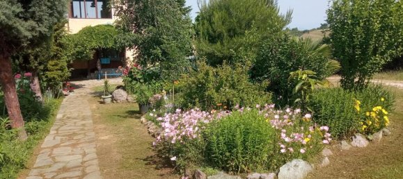 Коммерческая недвижимость 240м² в Салоники, Центральная Македония, Македония и Фракия, Греция № 59642 15