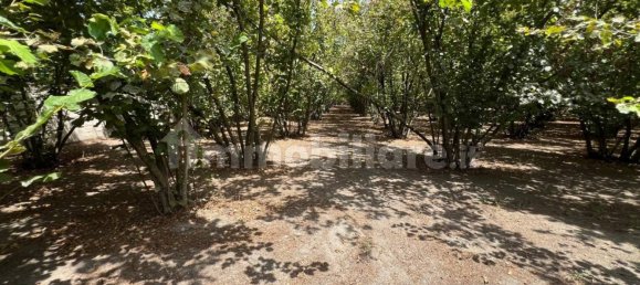 4486m² Land in Palma Campania, Italy No. 275263 3