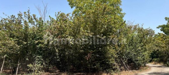 4486m² Land in Palma Campania, Italy No. 275263 4