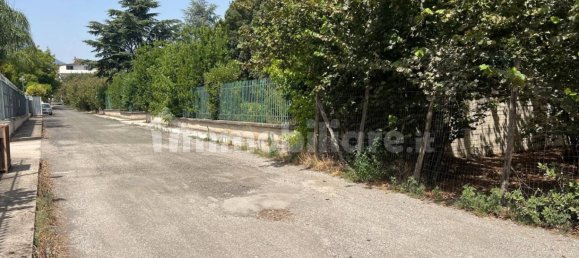 4486m² Land in Palma Campania, Italy No. 275263 5