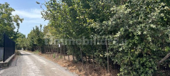 4486m² Land in Palma Campania, Italy No. 275263 6
