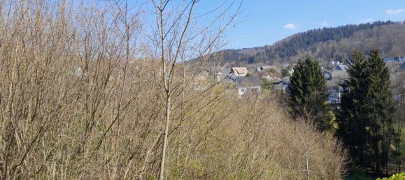 Terreno en Hochsauerlandkreis, Germany No. 263854 2