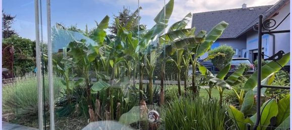 Дом с 7 спальнями в Лейбнитц, Австрия № 126599 31