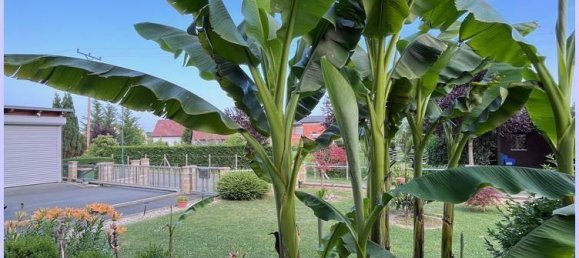 Дом с 7 спальнями в Лейбнитц, Австрия № 126599 32