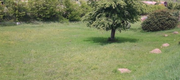 5 bedrooms House in Refrancore, Italy No. 318720 39