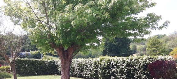 5 bedrooms House in Refrancore, Italy No. 318720 9