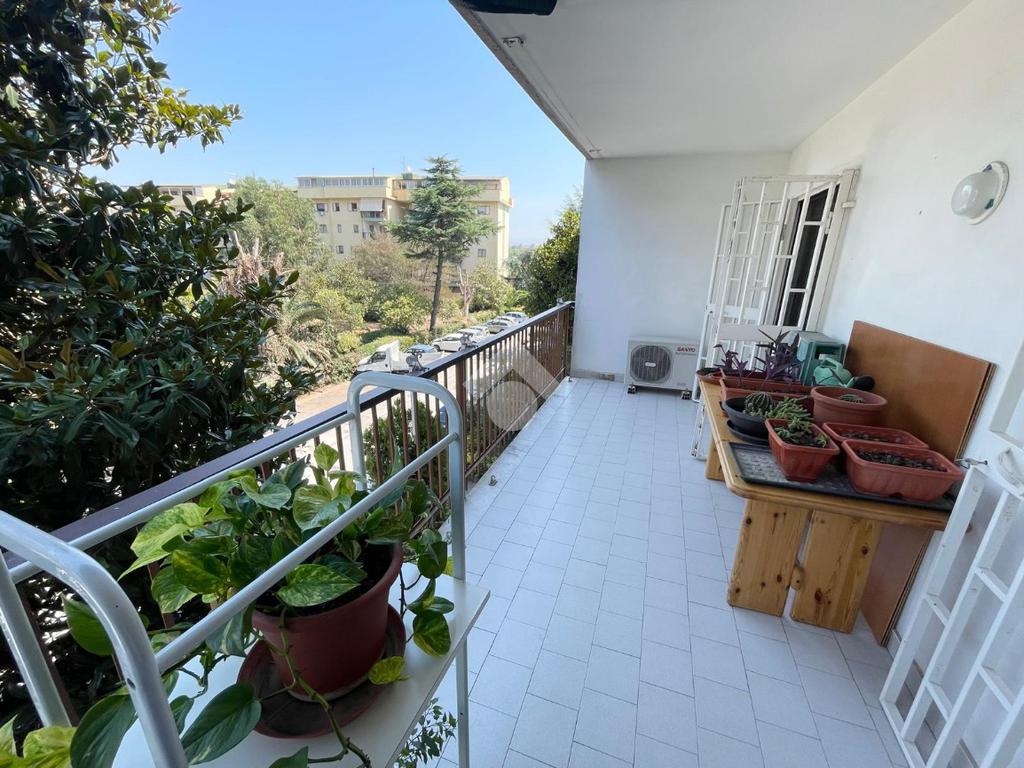 4 bedrooms Apartment in Pollena Trocchia, Italy No. 383183