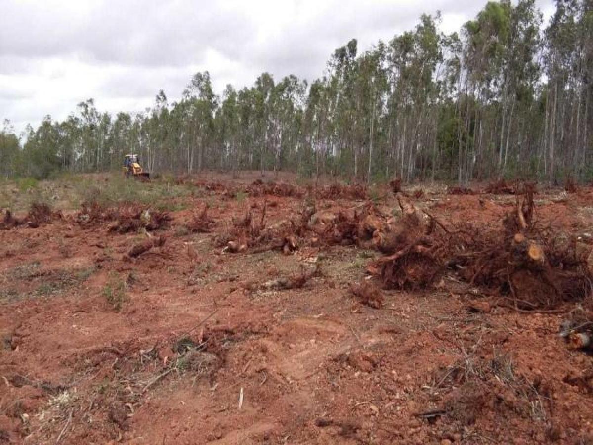  Land in Bangalore, India No. 41875