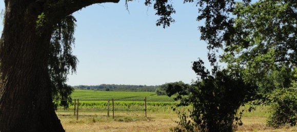 2 bedrooms Commercial property in Saint-Christoly-de-Blaye, France No. 1867 28