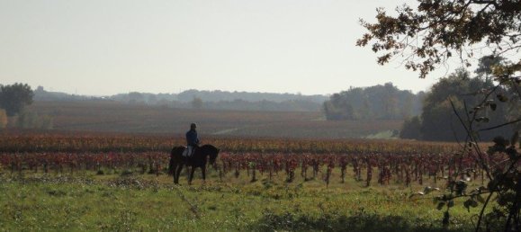 2 bedrooms Commercial property in Saint-Christoly-de-Blaye, France No. 1867 20