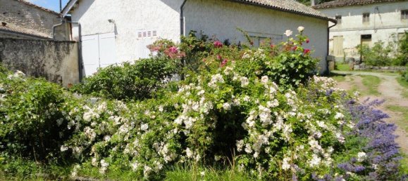 2 bedrooms Commercial property in Saint-Christoly-de-Blaye, France No. 1867 6