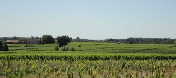 2 bedrooms Commercial property in Saint-Christoly-de-Blaye, France No. 1867 27