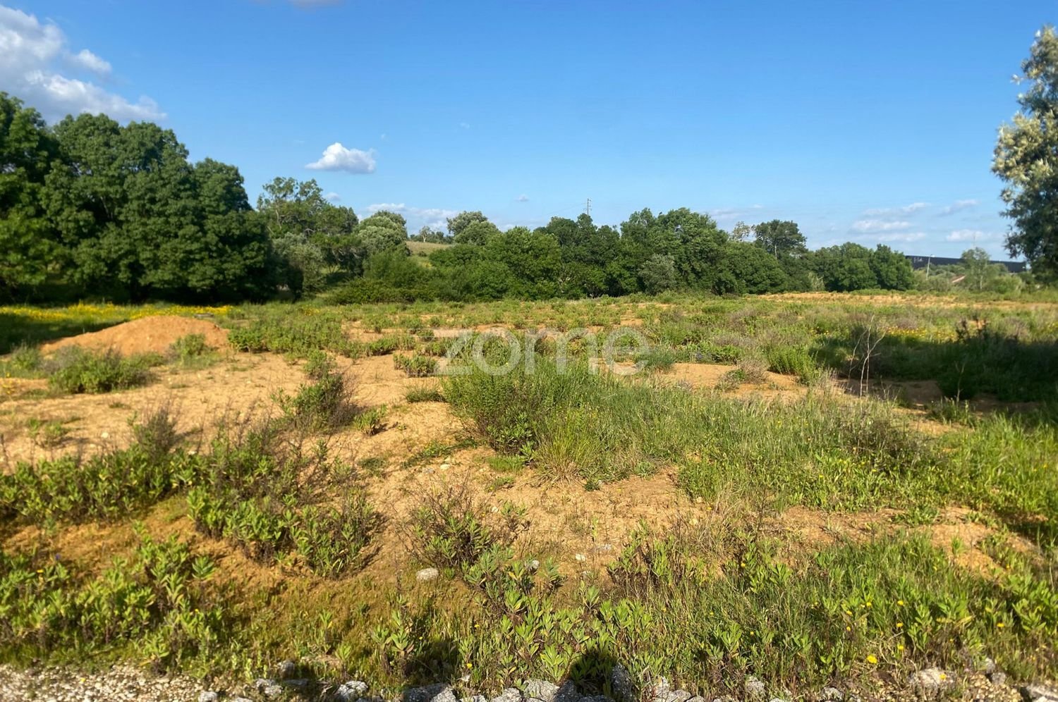  Land in Alcanena, Portugal No. 205030