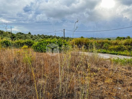 745m² Land in Santarem, Portugal No. 12671