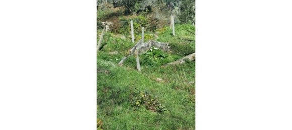 Hotel T2 em Espadanedo, Portugal N.º 236606 2