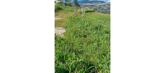 Hotel T2 em Espadanedo, Portugal N.º 236606 3