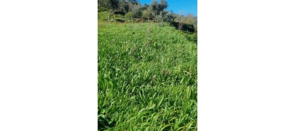 Hotel T2 em Espadanedo, Portugal N.º 236606 5