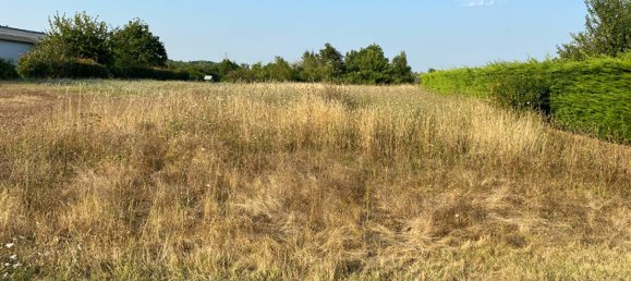  Land in Choussy, France No. 244752 2