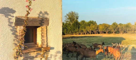 قطعة أرض في Mirabel, France 50000متر مربع رقم 200584 5