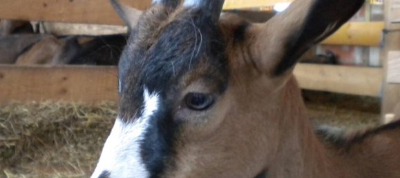 قطعة أرض في Mirabel, France 50000متر مربع رقم 200584 3