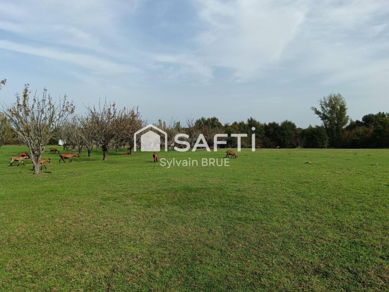  قطعة أرض في Mirabel, France 50000متر مربع رقم 200584