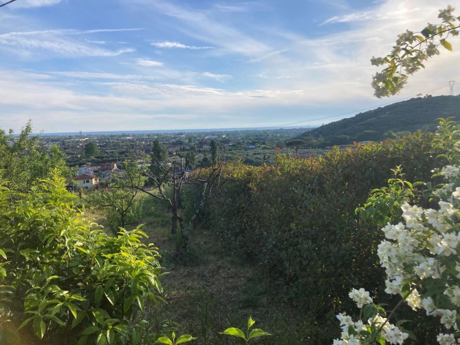 2 chambres Maison à Pietrasanta, Italy No. 279678