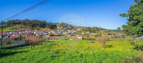 4 Schlafzimmer Haus in Alcobaca, Portugal, Nr. 29226 32