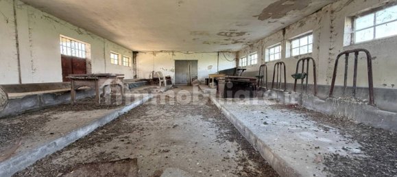 3 Schlafzimmer Haus in Veronella, Italy, Nr. 263097 14