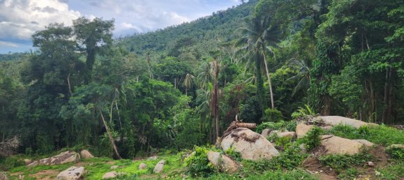  Land in Ko Samui, Thailand No. 26439 3