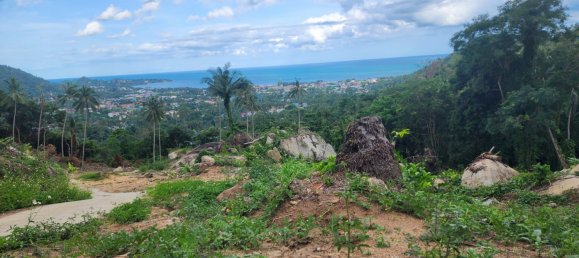  Land in Ko Samui, Thailand No. 26439 5