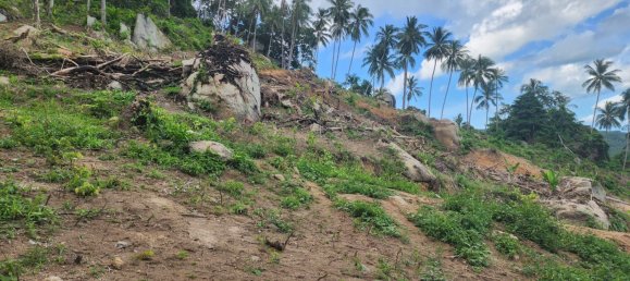  Land in Ko Samui, Thailand No. 26439 4