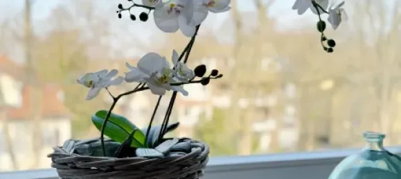 Apartamento de 3 habitaciónes en Lichterfelde, Germany No. 34934 6