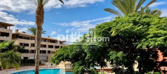 Квартира с 2 спальнями в Адехе, Испания № 125451 13