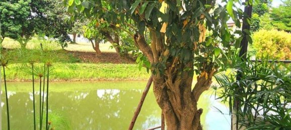 4 bedrooms House in Chiang Mai, Thailand No. 26972 18