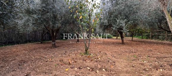 3 bedrooms Bungalow in Mellieha, Malta No. 354 14