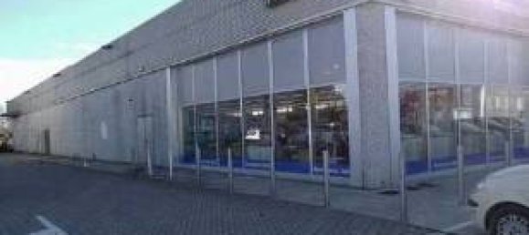 2397m² Commercial property in Quistello, Italy No. 302180 3