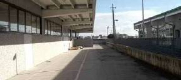 2397m² Commercial property in Quistello, Italy No. 302180 5