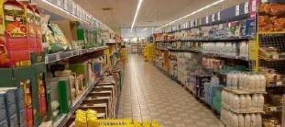 2397m² Commercial property in Quistello, Italy No. 302180 8