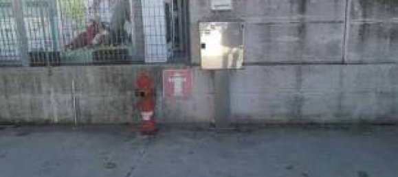 2397m² Commercial property in Quistello, Italy No. 302180 6