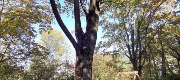 Квартира с 2 комнатами в Виден, Австрия № 221028 18