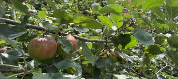 3 chambres Maison de ville à Heiligensee, Germany No. 269878 25