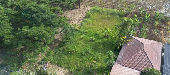 Terrain à Chiang Mai, Thailand No. 72176 4