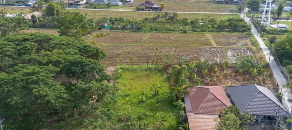 Terrain à Chiang Mai, Thailand No. 72176 5